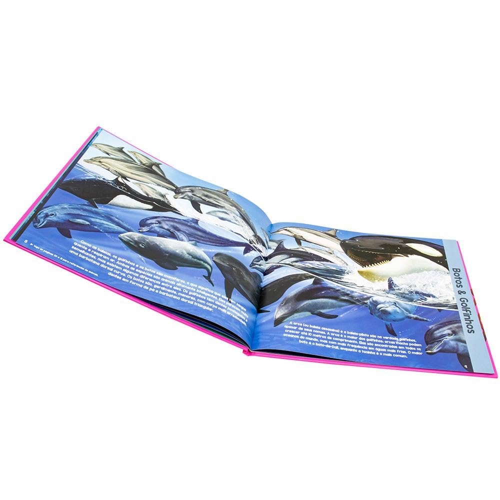 HAPPY BOOKS - EXPLORANDO O MUNDO II - BOX C/3 - Imagem 2