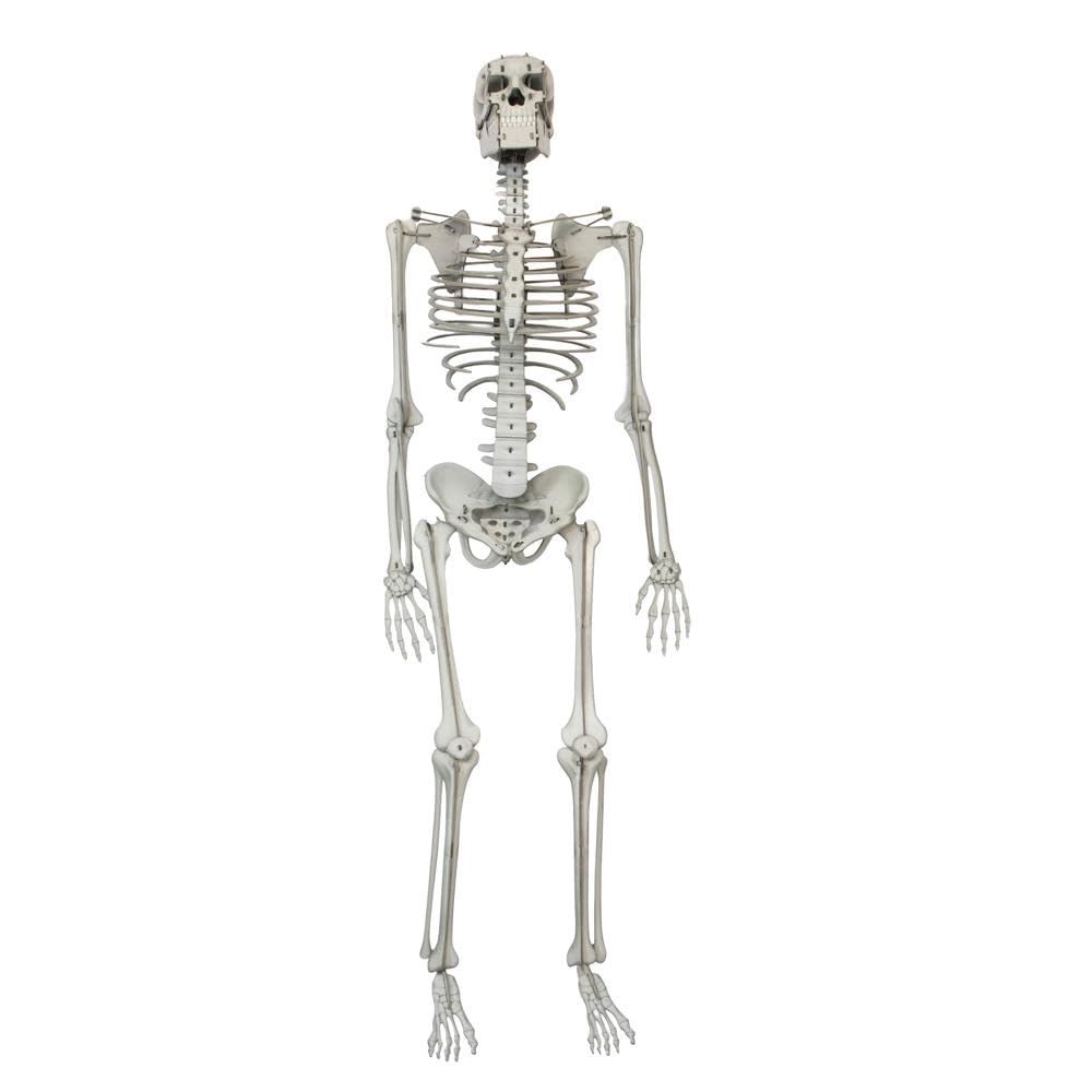 HAPPY BOOKS - LIVRO DE MAQUETE 3D - CORPO HUMANO - Imagem 2