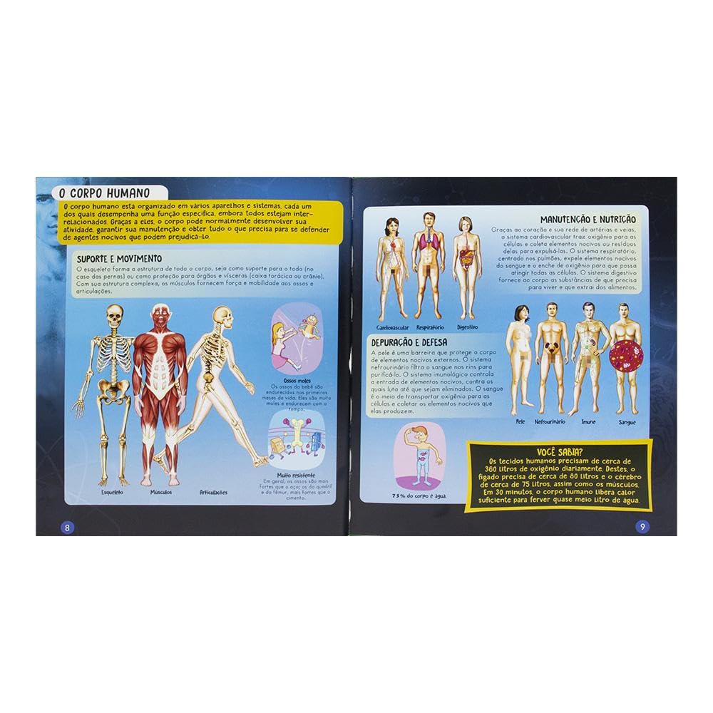 HAPPY BOOKS - LIVRO DE MAQUETE 3D - CORPO HUMANO - Imagem 4