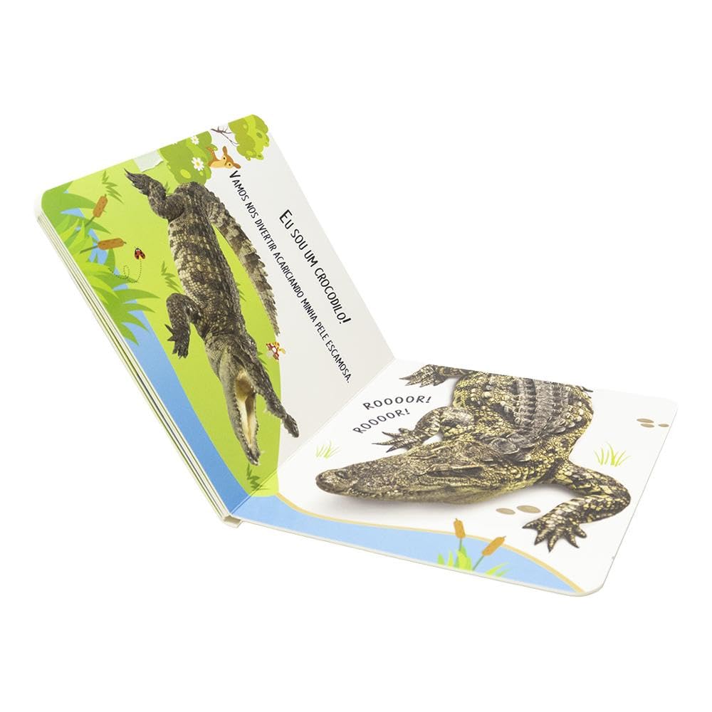 TODOLIVRO - EXPLORE E SINTA - COM RELEVO: SELVA - Imagem 3